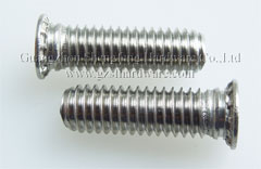 不鏽鋼壓鉚螺釘FHS